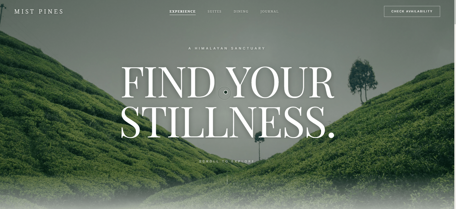 Ultra-Luxury Hospitality Web Experience & Digital Branding